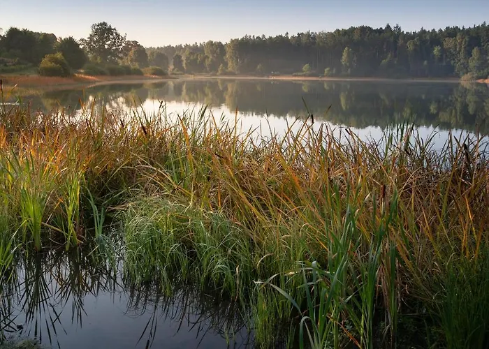 山林小屋 Nad Jeziorem Kaszuby *